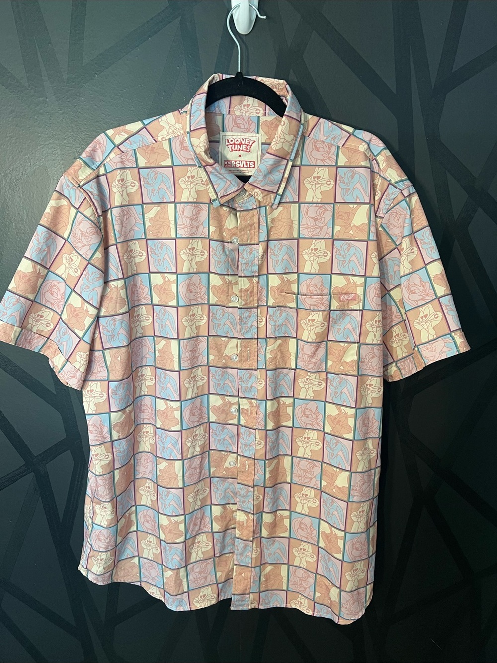 Warner Bros. Looney Tunes Pastel Pink & Blue Checker Button-Up Shirt